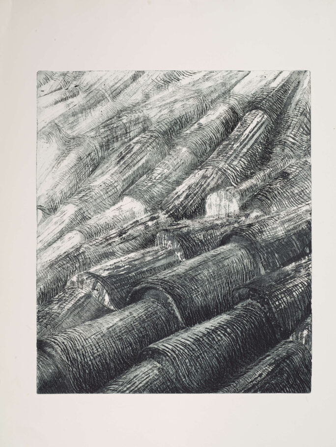 ROOF TILES 1.  IMAGE SIZE 58X49CM.  ETCHING. EDITION 15.  £850 U/F  1 LEFT