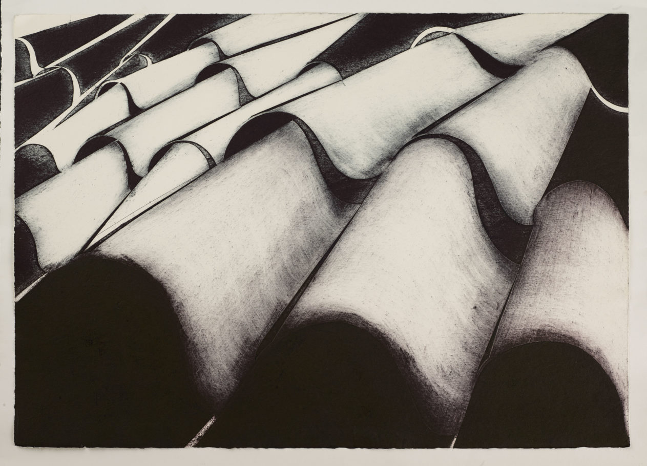 ROOF TILES 2 . IMAGE SIZE 58X82CM COLLAGRAPH . UNIQUE . £950 U/F