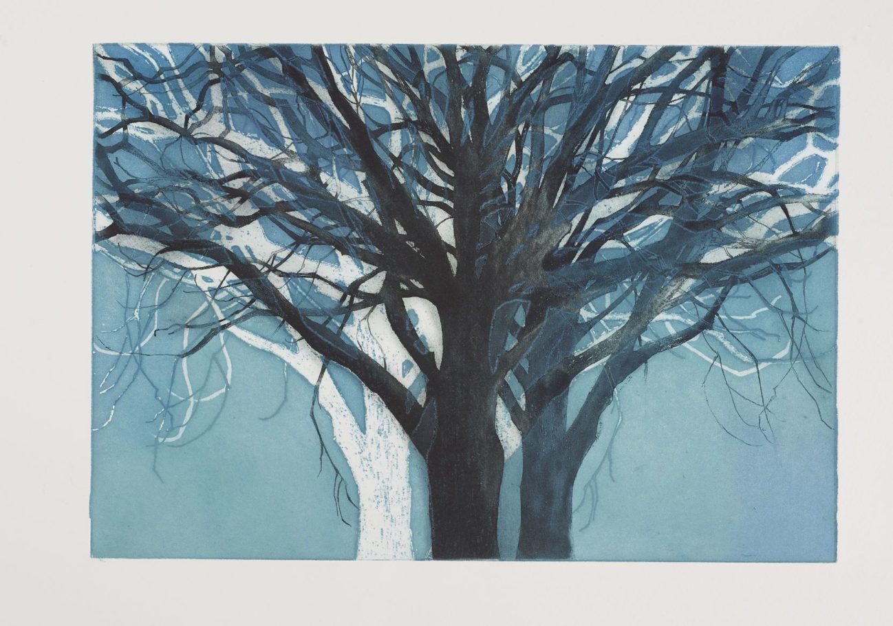 TREE FORMS BLUE 2 . IMAGE SIZE 29.5X42CM ETCHING . EDITION 15 . £525 U/F