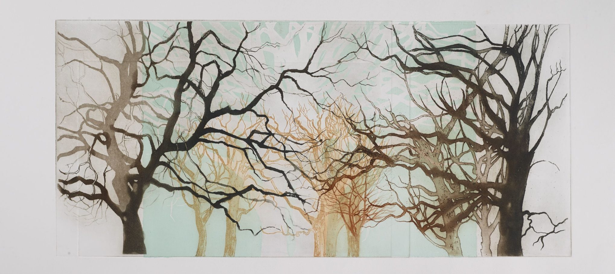TREE FORMS 3 . IMAGE SIZE 29X64CM ETCHING . EDITION 4 . £695 U/F