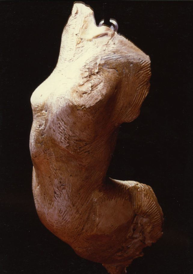 TORSO . 57X25X23CM TREATED RESIN . EDITION 2 . SOLD
