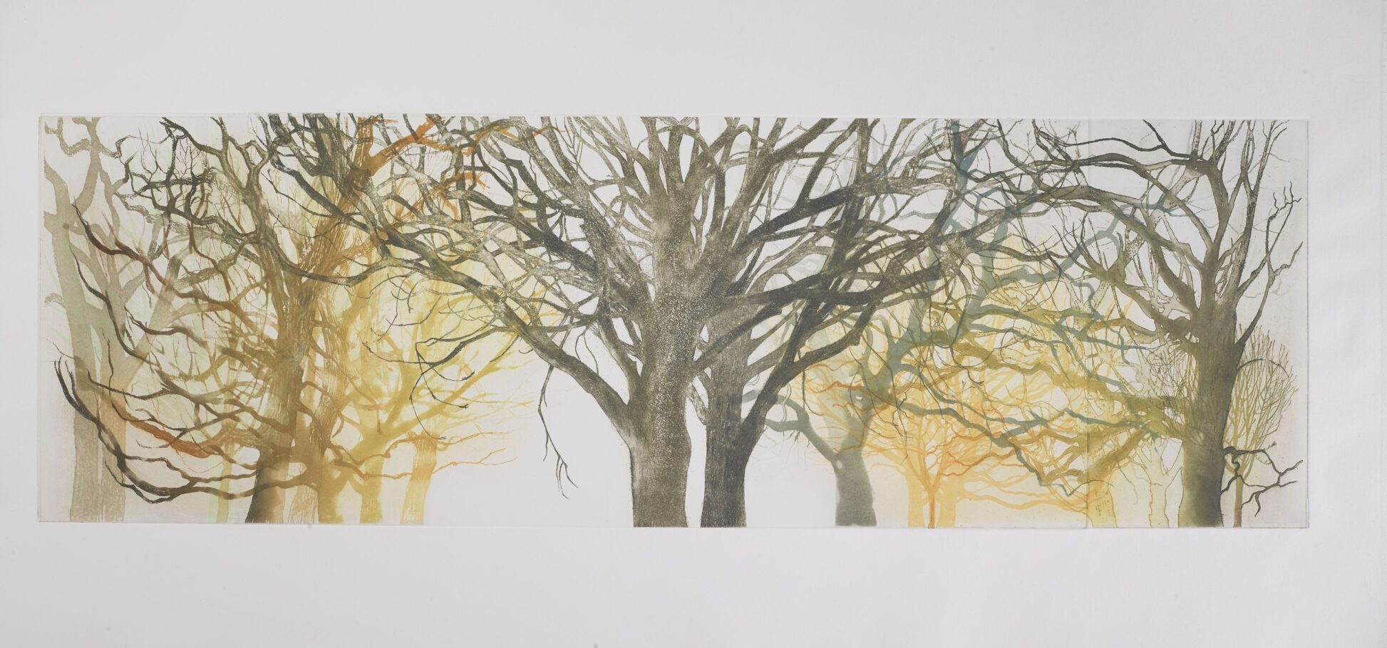 TREE FORMS 1 . IMAGE SIZE 29X90CM ETCHING . EDITION 4 . £850 U/F