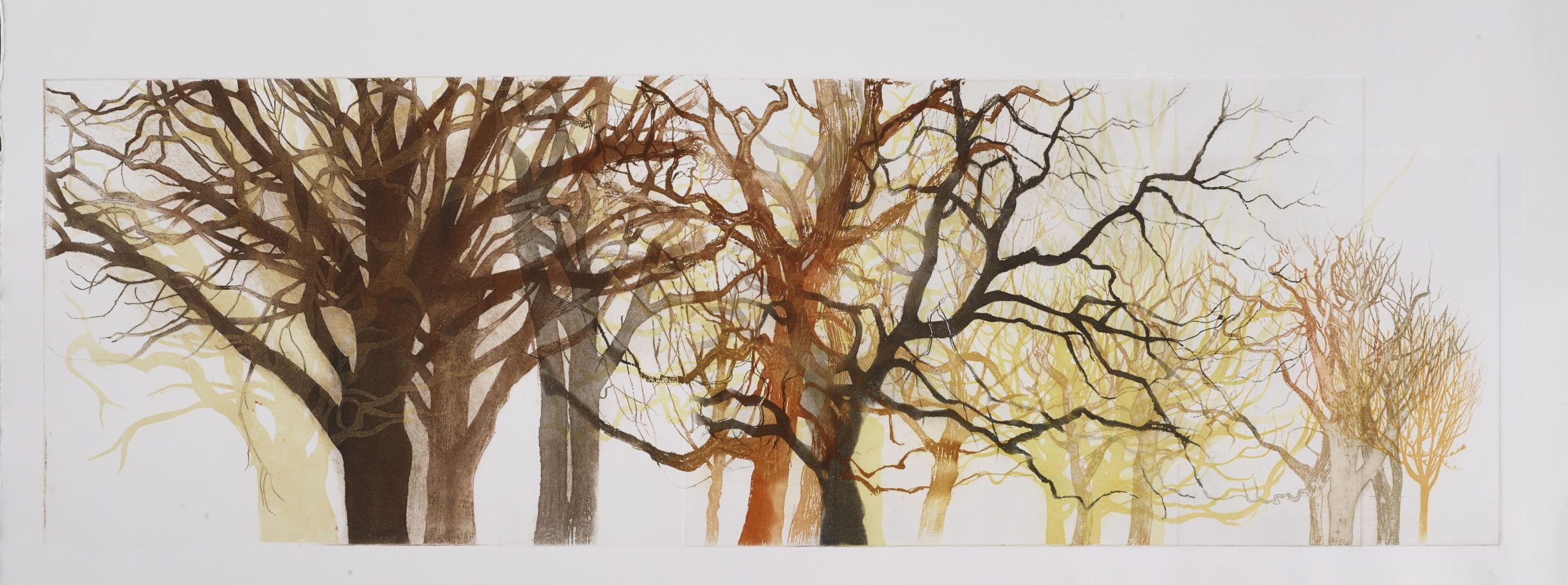 TREE FORMS 2 . IMAGE SIZE 29X90CM ETCHING . UNIQUE . £950 U/F