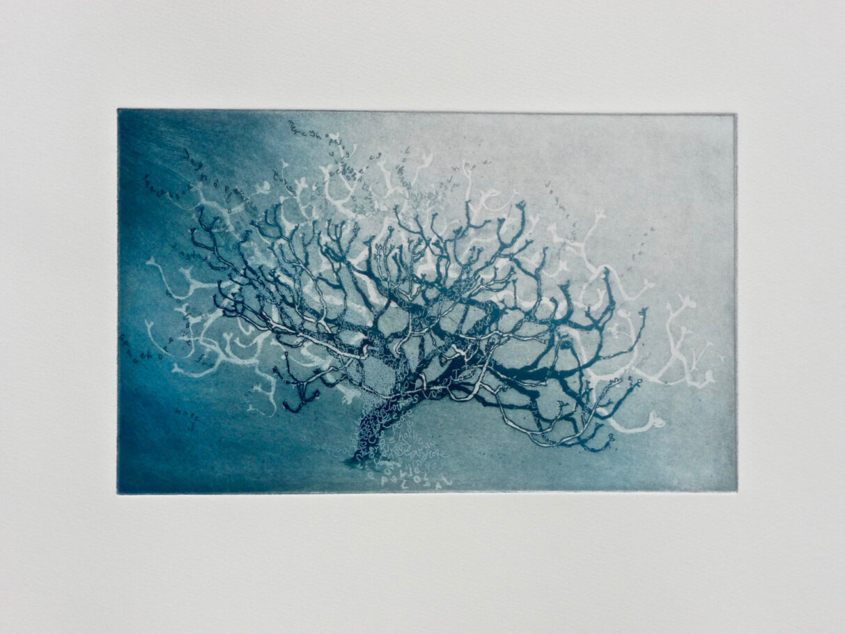 HOPE FIG TREE . IMAGE SIZE 20X32.5CM ETCHING . EDITION 15 . £395 U/F